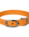 Tangerine Collar