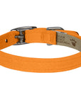 Tangerine Collar