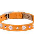 Small Daisy 1/2" Collar
