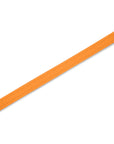 Tangerine Solid Leash