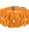 Tinkie's Garden Flower Collar