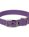 Ultraviolet Collar