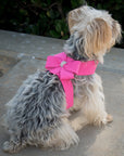 Nouveau Bow Tinkie Harness