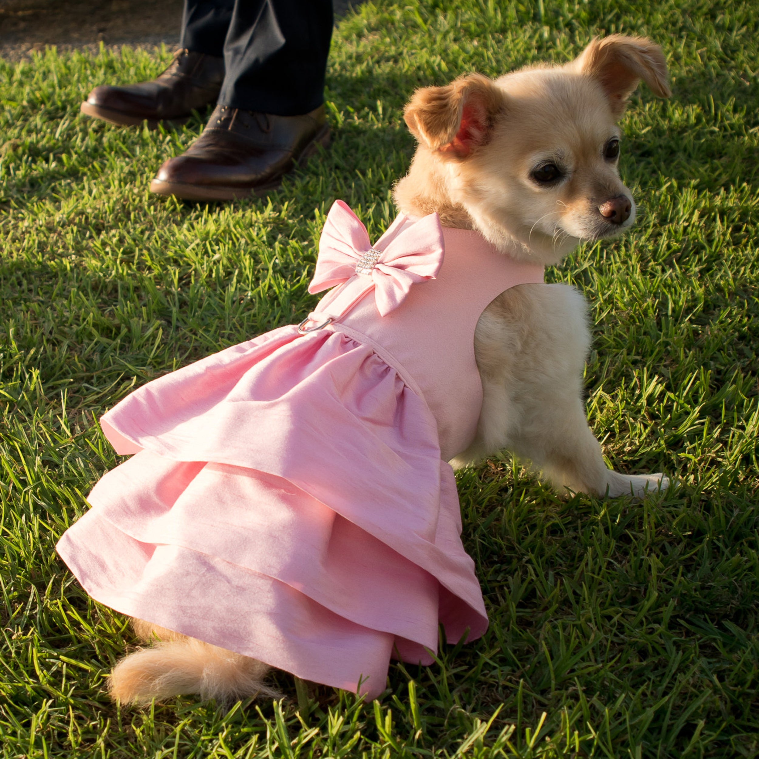 Pink Dog Dress | Puppy Dress Harness | Susan Lanci Designs Pink Dog Dress | Puppy Dress Harness | Susan Lanci Designs