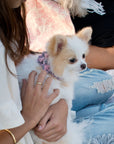 Scotty Puppy Pink Plaid Tinkie's Garden Flower Collar