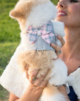 Scotty Puppy Pink Plaid Tinkie's Garden Flower Collar