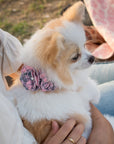 Scotty Puppy Pink Plaid Tinkie's Garden Flower Collar