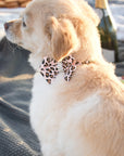 Cheetah Couture Nouveau Bow Collar