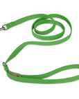 Green Solid Leash