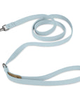 Puppy Blue Plain Leash