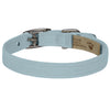 Puppy Blue Collar