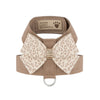 Baby Cheetah with Gold Giltmore Nouveau Bow Tinkie Harness