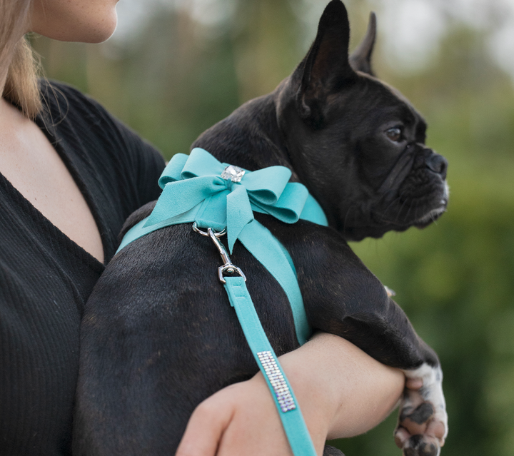 Luxury Dog Collars, Dog Beds, Dog Carriers - Susan Lanci Designs