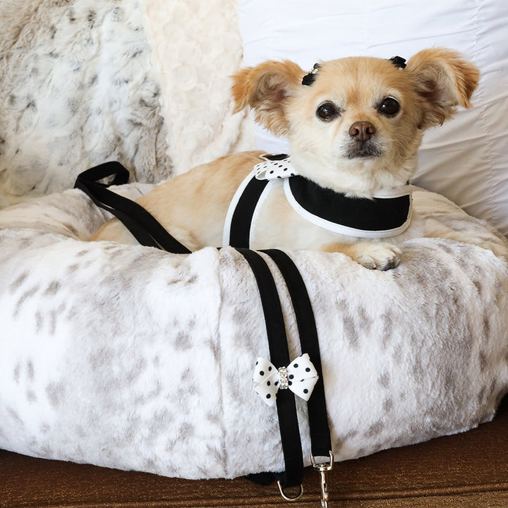Luxury Dog Collars, Dog Beds, Dog Carriers - Susan Lanci Designs