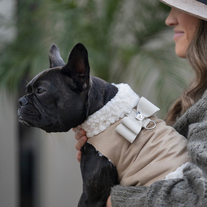 Tiffany Blue Chocolate Dog collar - Genuine Dog Gear