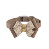 Baby Cheetah with Gold Giltmore Double Nouveau Bow Collar