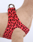 Cheetah Couture Step In Harness