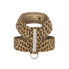 Cheetah 3 Row Pearl Giltmore Tinkie Harness