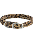 Cheetah 3 Row Pearl Giltmore 1/2" Collar