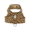 Cheetah Pearl Giltmore Nouveau Bow Tinkie Harness