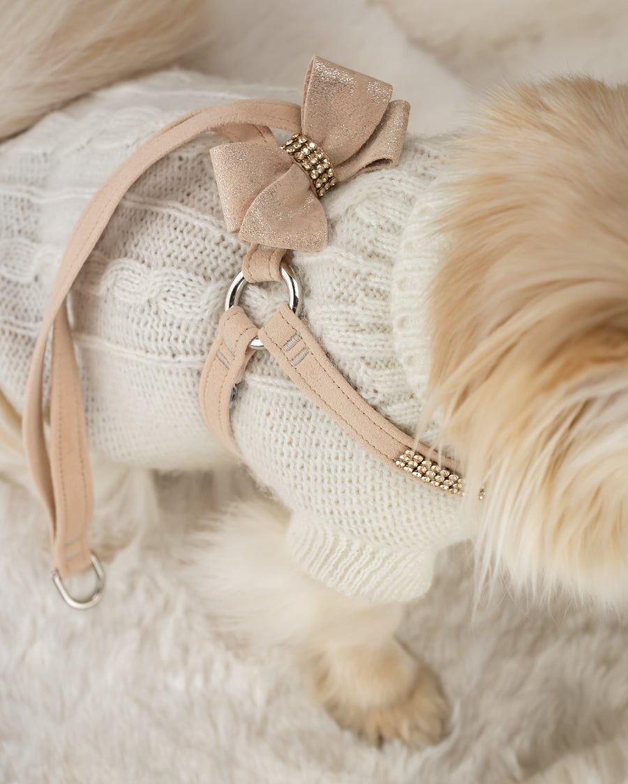 Glitzerati Nouveau Bow with Gold Giltmore Step N Go Harness