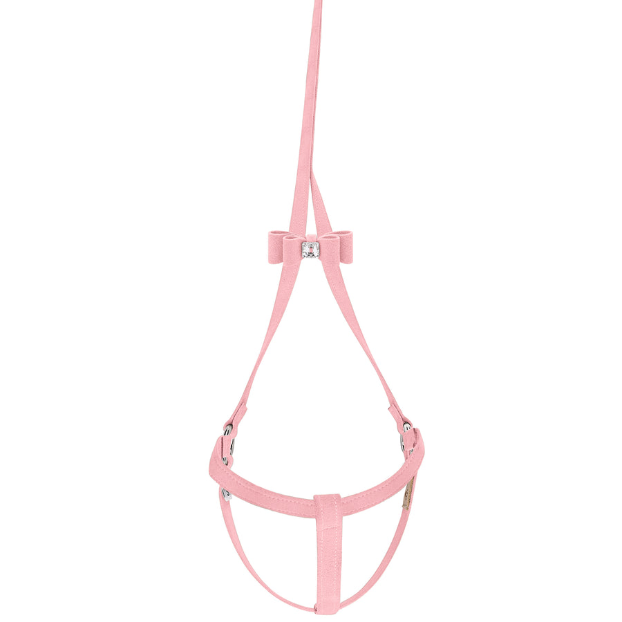 Big Bow Step N Go Leash Harness