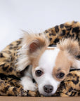 Soft Cheetah Cuddle Cup
