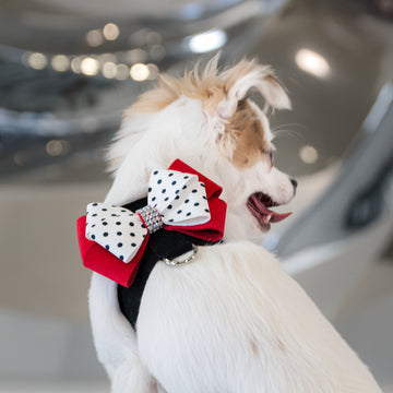 Minnie Tinkie Harness