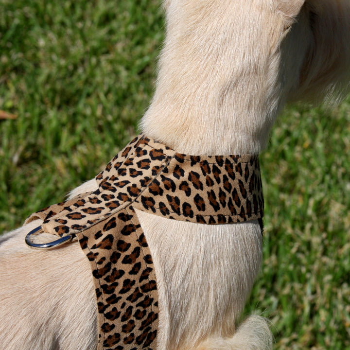 Cheetah Couture Crystal Rocks Tinkie Harness