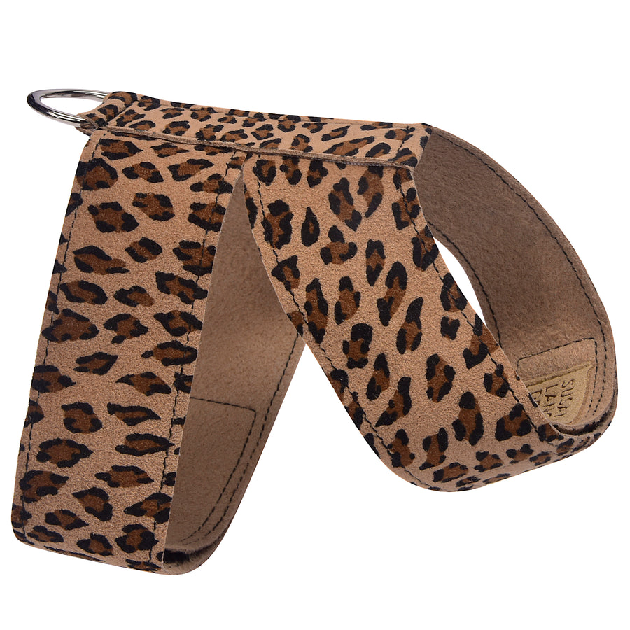 Cheetah Couture Tinkie Harness