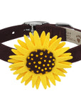 Sunflower 1/2" Collar