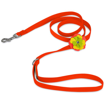 Citrus Flower Leash