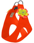 Citrus Flower Step In Harness