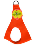 Citrus Flower Step In Harness