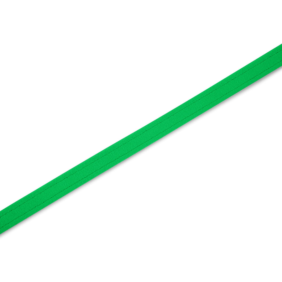 Green Solid Leash