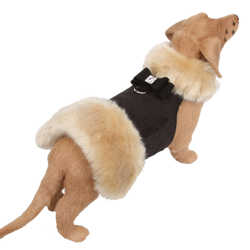 Big Bow Champagne Fox Fur Coat