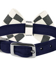Windsor Check Nouveau Bow Collar
