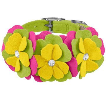 Dragon Fruit Flower Collar