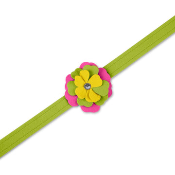 Dragon Fruit Flower Leash