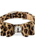 Cheetah Couture Big Bow Collar