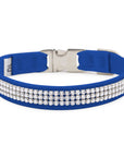 Royal Blue 3 Row Giltmore Perfect Fit Collar