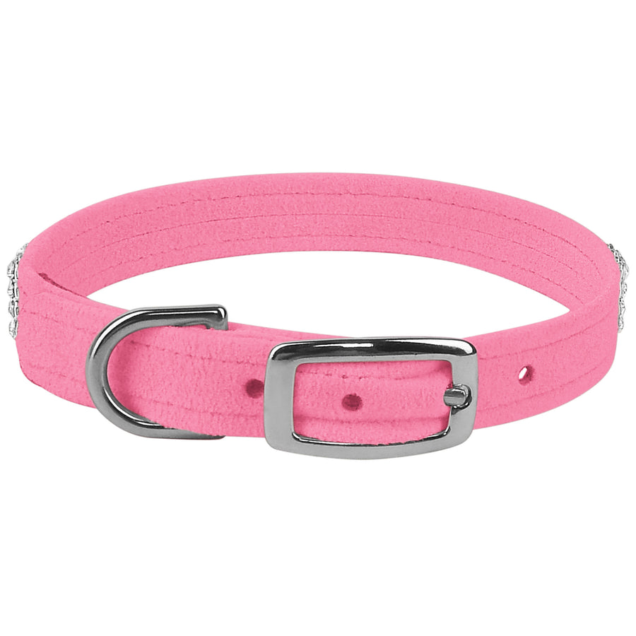 COASTAL Titan Dog Collar, Bright Pink • Petmania Ireland
