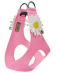 Large Daisy Step In Harness-Pretty Pastels