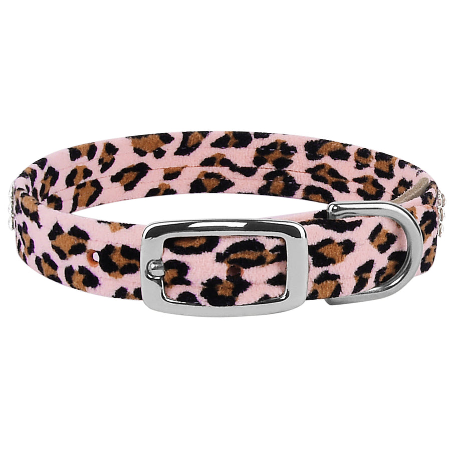 Cheetah Couture 3 Row Giltmore Collar