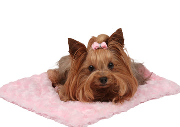 Puppy Pink Curly Sue Blanket