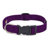 Amethyst Quick Release Collar