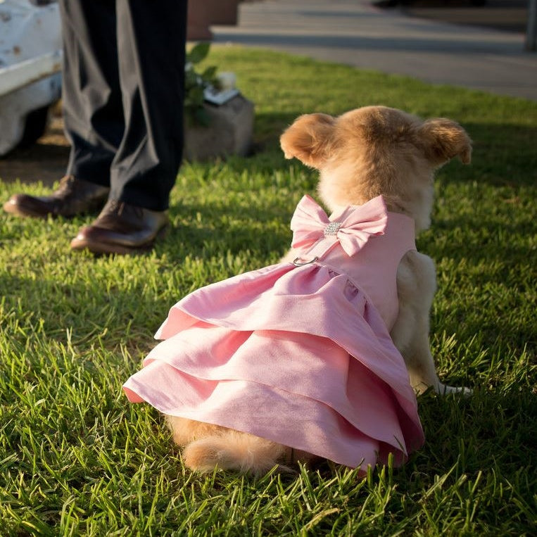 Pink Dog Dress | Puppy Dress Harness
