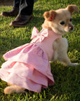 Puppy Pink Madison Dress